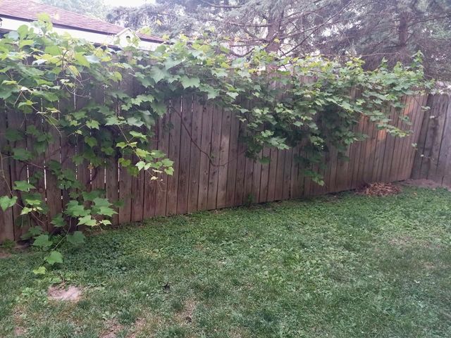 113 Leon Street, Madison, WI 53714