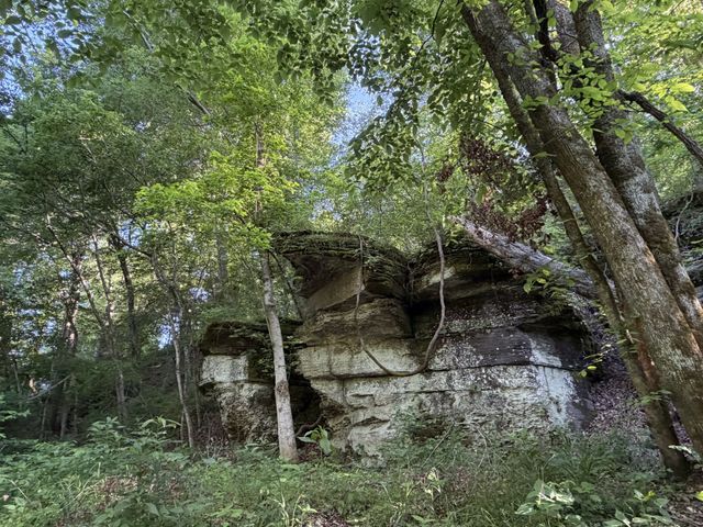 1490 Upper Standing Rock Rd, Dover, TN 37058