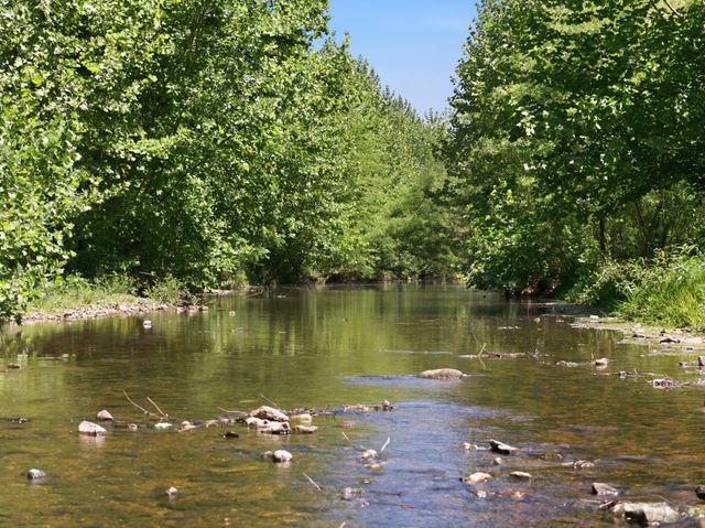 1490 Upper Standing Rock Rd, Dover, TN 37058
