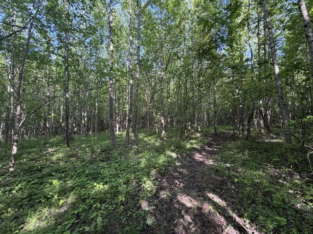 1490 Upper Standing Rock Rd, Dover, TN 37058