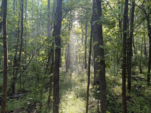1490 Upper Standing Rock Rd, Dover, TN 37058