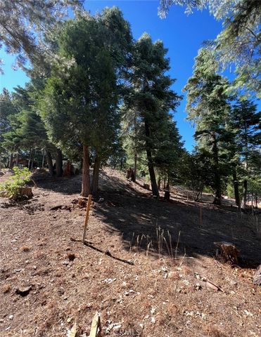 295 Grandview, Twin Peaks, CA 92391