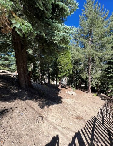 295 Grandview, Twin Peaks, CA 92391