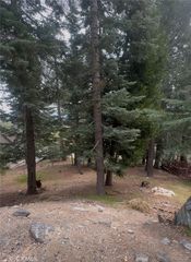 295 Grandview, Twin Peaks, CA 92391