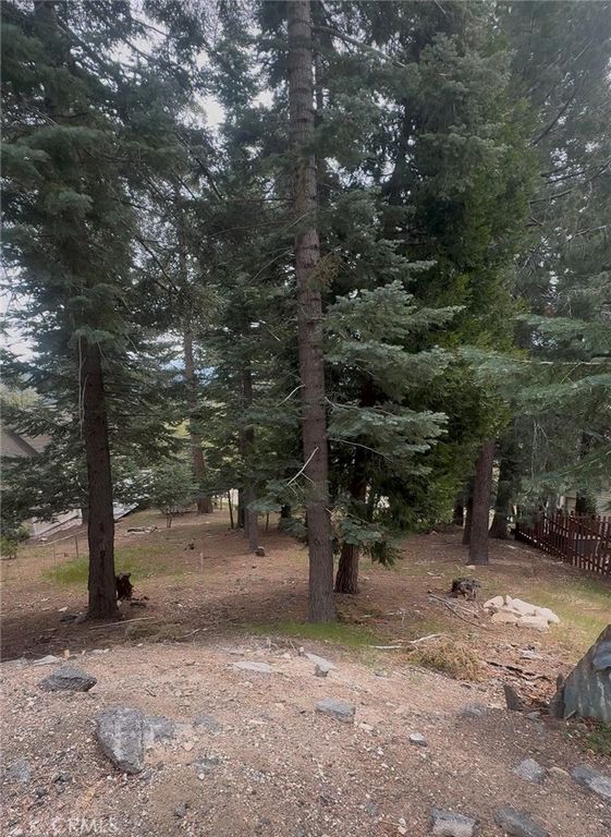 295 Grandview, Twin Peaks, CA 92391