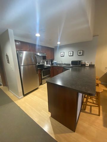 13 Snowtree Lane Willows K, Dover, VT 05356