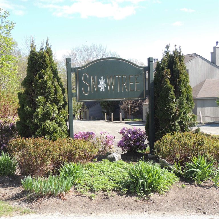 13 Snowtree Lane Willows K, Dover, VT 05356