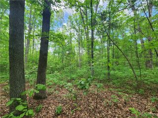 0 Robinson Rd, Goochland, VA 23063