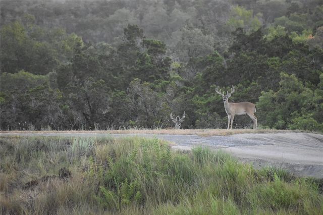 3777 Middle Creek RD, Blanco, TX 78606