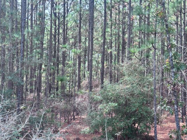 Lot D12 East Bay Dr, Lumberton, MS 39455