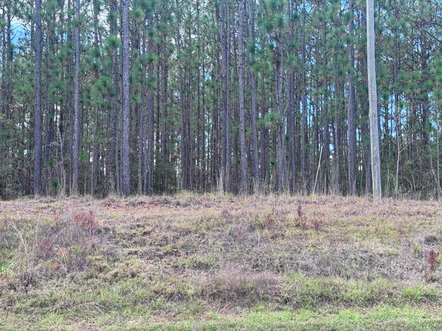 Lot D12 East Bay Dr, Lumberton, MS 39455