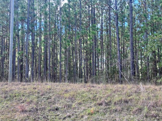 Lot D12 East Bay Dr, Lumberton, MS 39455
