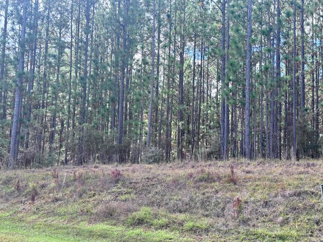 Lot D12 East Bay Dr, Lumberton, MS 39455