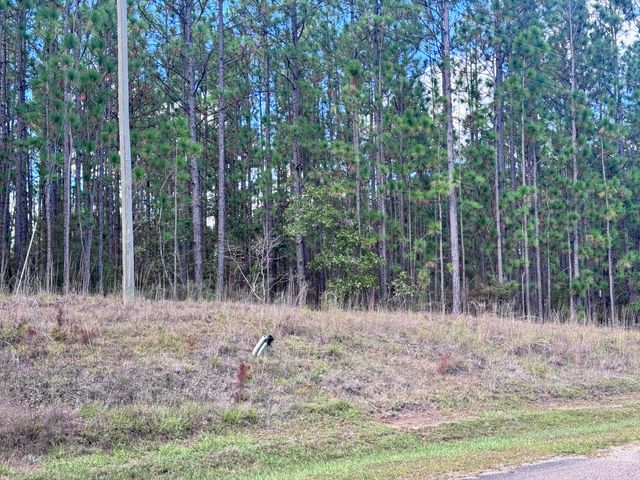 Lot D12 East Bay Dr, Lumberton, MS 39455