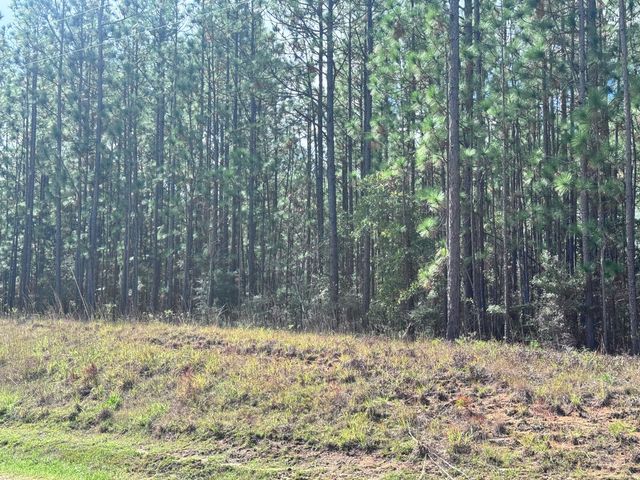Lot D12 East Bay Dr, Lumberton, MS 39455