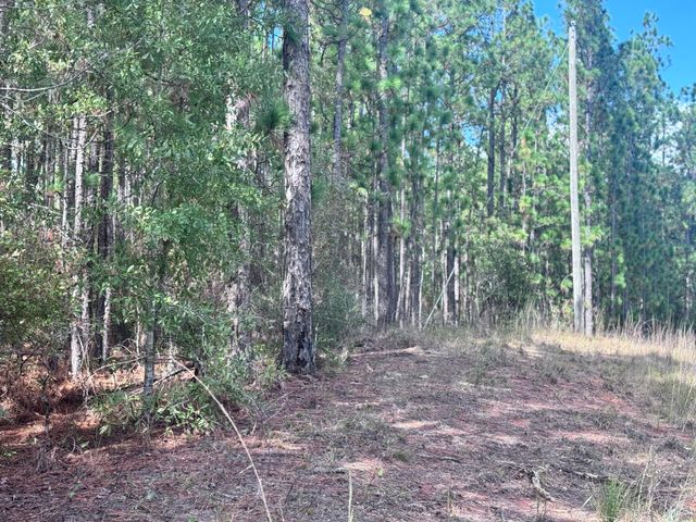 Lot D12 East Bay Dr, Lumberton, MS 39455