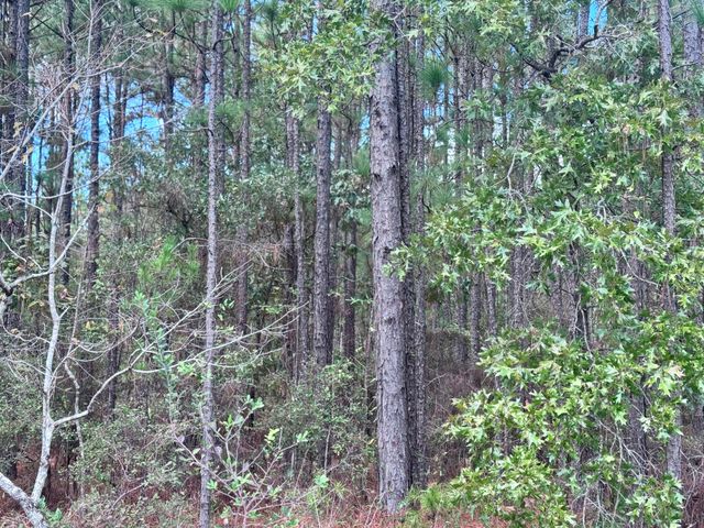 Lot D12 East Bay Dr, Lumberton, MS 39455