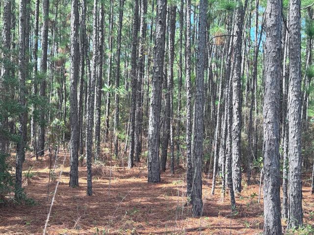 Lot D12 East Bay Dr, Lumberton, MS 39455