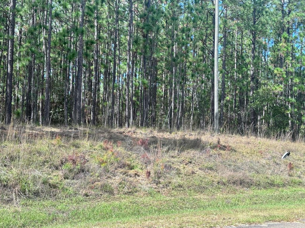 Lot D12 East Bay Dr, Lumberton, MS 39455