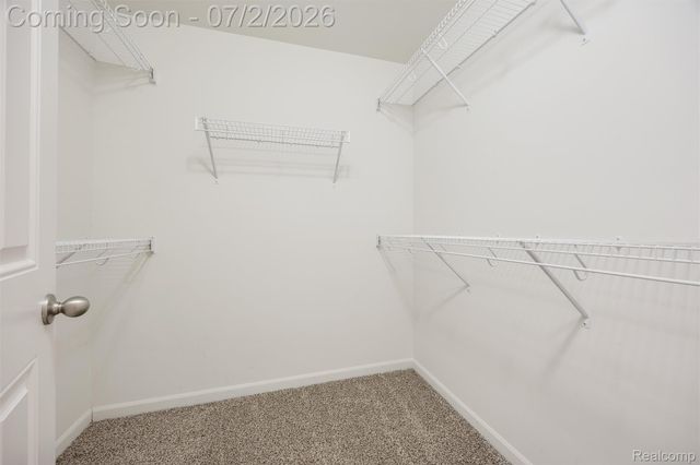 11325 N Woods Drive, Shelby Charter Township, MI 48317
