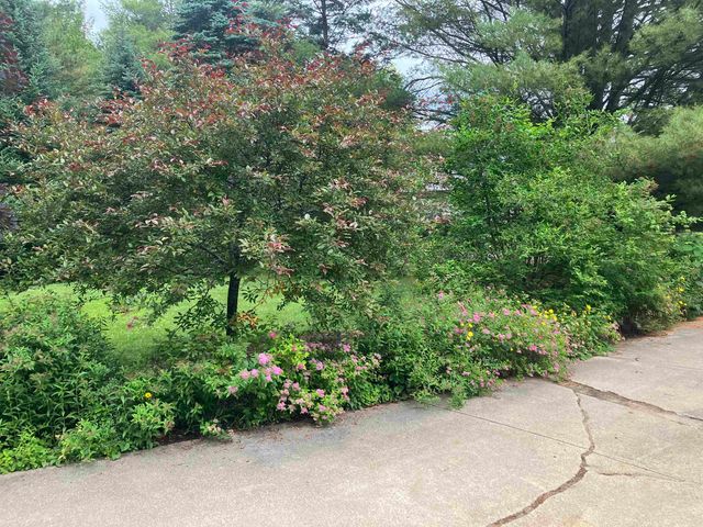362 Beech Street, Gladwin, MI 48624