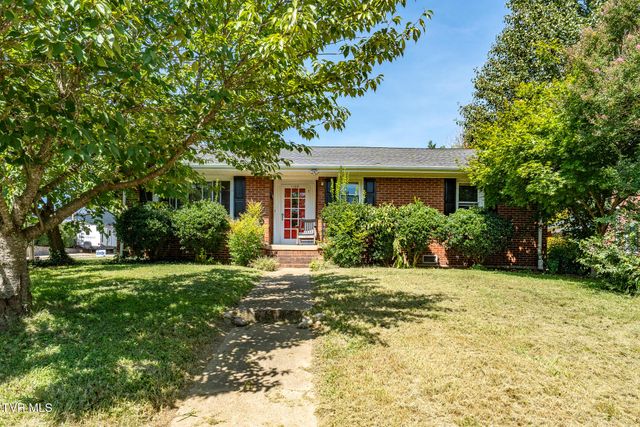1100 Wateree Street, Kingsport, TN 37660