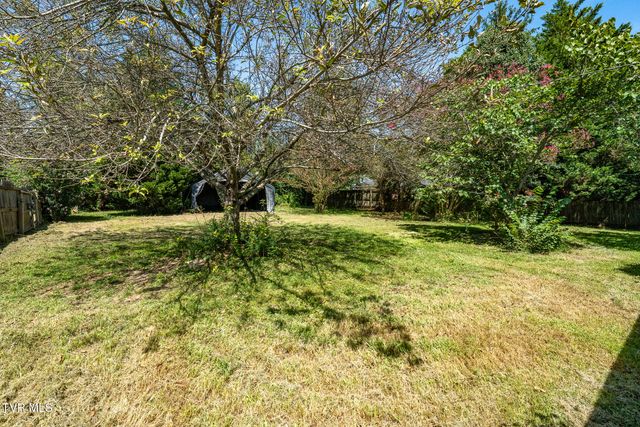 1100 Wateree Street, Kingsport, TN 37660