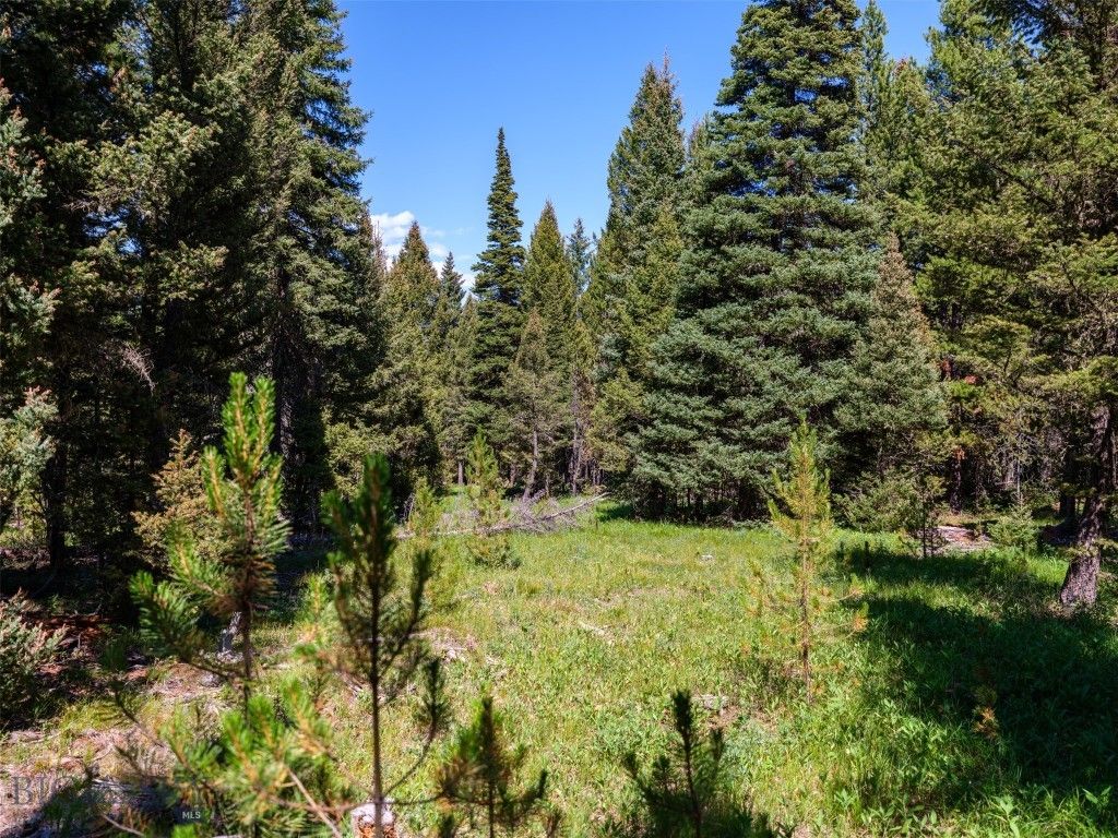 TBD Settlers Loop Lot 91, Big Sky, MT 59716 photo 2