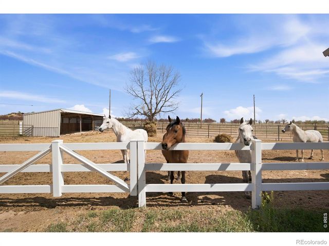 8952 Gander Valley Lane, Windsor, CO 80550