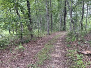 42 Chickory Lane, Monteagle, TN 37356