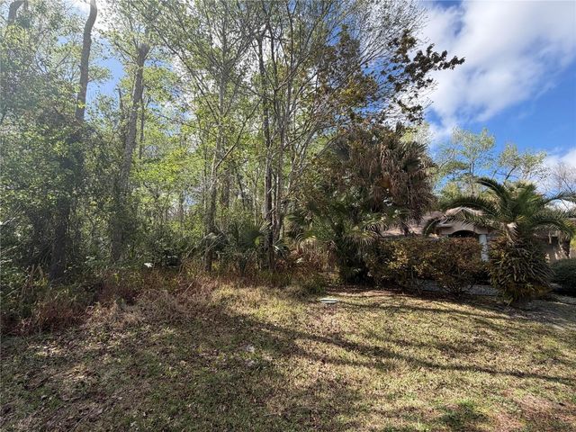 6 ZEPPELIN COURT, Palm Coast, FL 32164