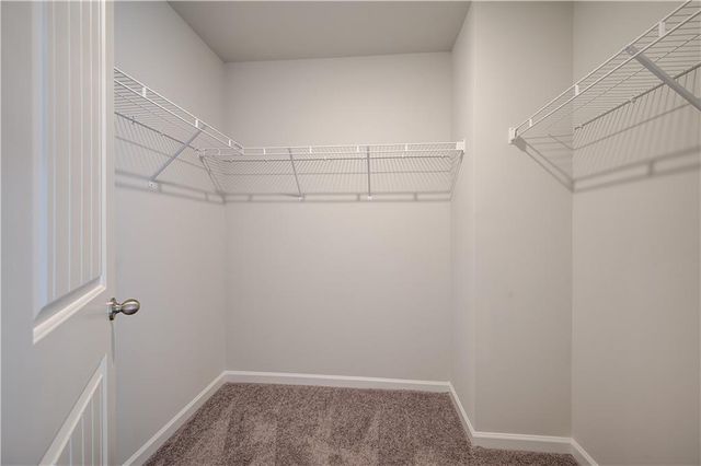 163 Dalston Cove, Stockbridge, GA 30281