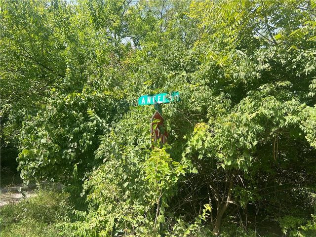 Angela Lane, Excelsior Springs, MO 64024