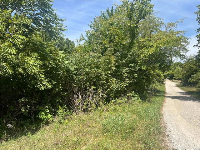 Angela Lane, Excelsior Springs, MO 64024