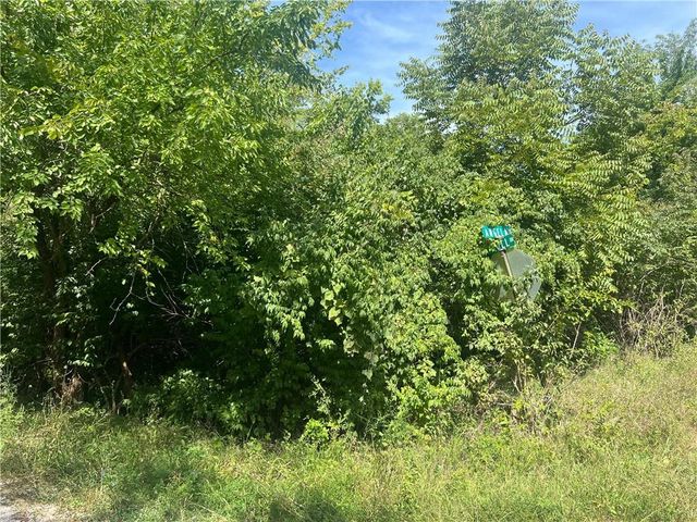 Angela Lane, Excelsior Springs, MO 64024