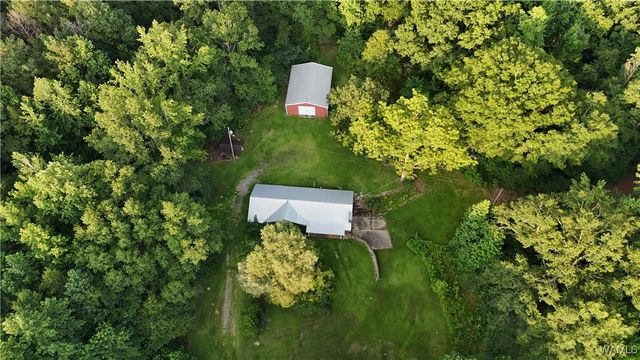 11900 Payneville, Livingston, AL 35470