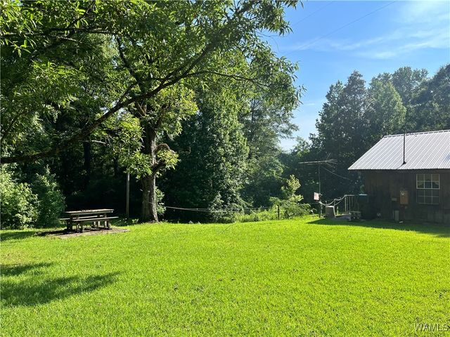 11900 Payneville, Livingston, AL 35470