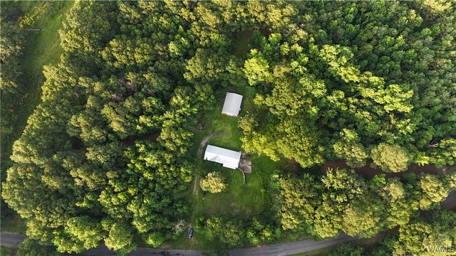 11900 Payneville, Livingston, AL 35470