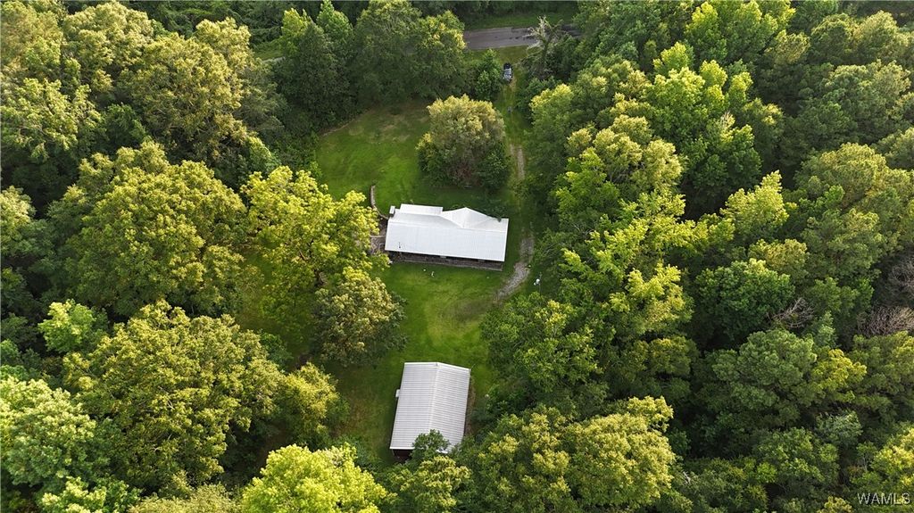 11900 Payneville, Livingston, AL 35470