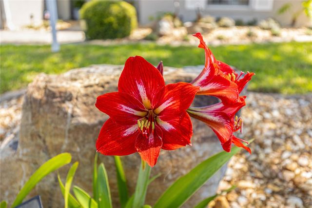 8090 SW 81ST LOOP, Ocala, FL 34476