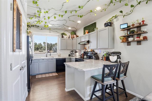 1068 Mt Oxford Avenue, Windsor, CO 80550