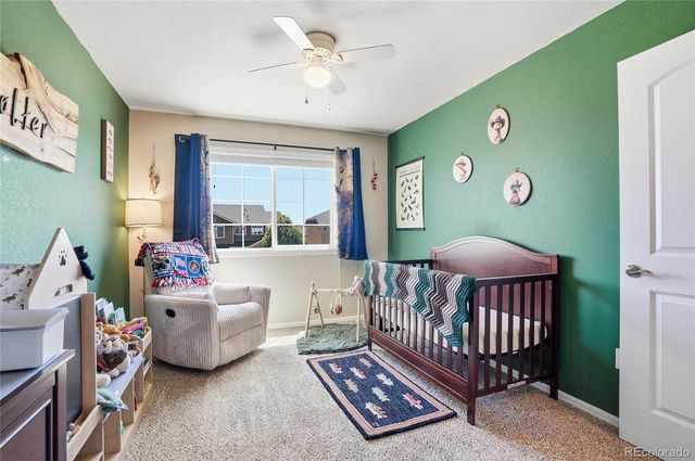 1068 Mt Oxford Avenue, Windsor, CO 80550