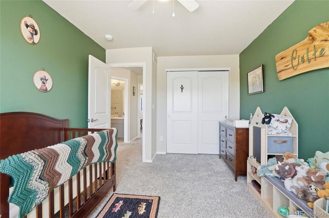 1068 Mt Oxford Avenue, Windsor, CO 80550
