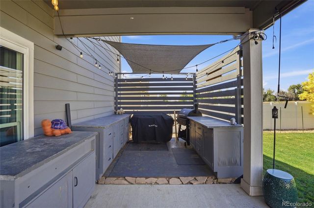 1068 Mt Oxford Avenue, Windsor, CO 80550