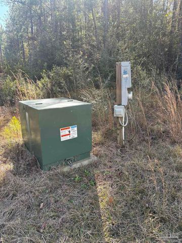 10485 Wiggins Grove Rd, Jay, FL 32565