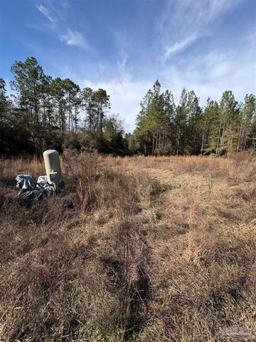 10485 Wiggins Grove Rd, Jay, FL 32565