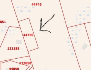 FM 223 Fm, Shepherd, TX 77371