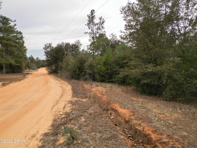 Lot 22 Mcpherson Drive, Alford, FL 32420