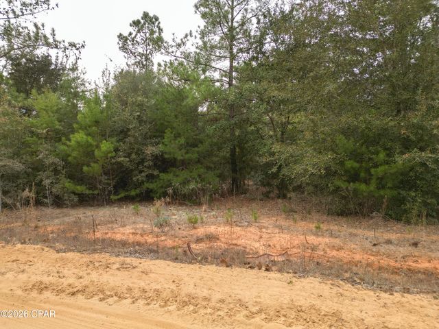 Lot 22 Mcpherson Drive, Alford, FL 32420