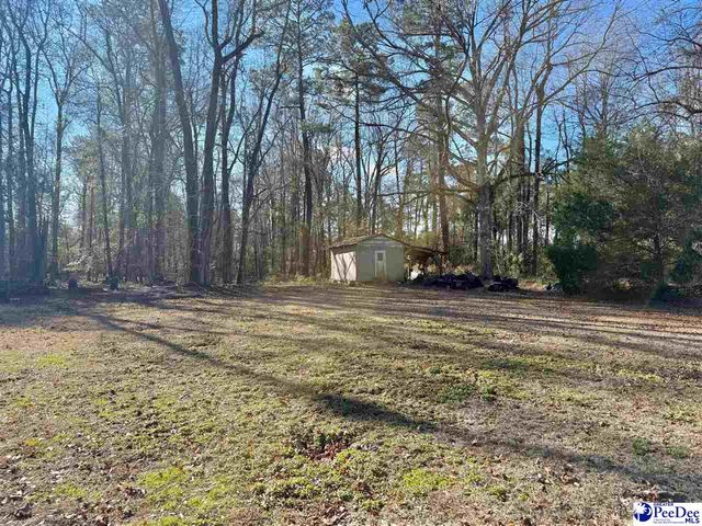 246 E Shirley Road, Pamplico, SC 29583
